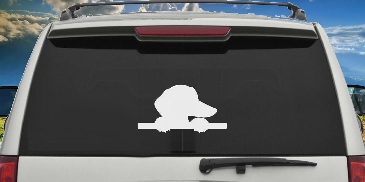 Peeking Dachshund decal applied to a truck rear window